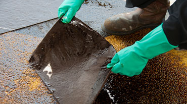 oil spill ceamup