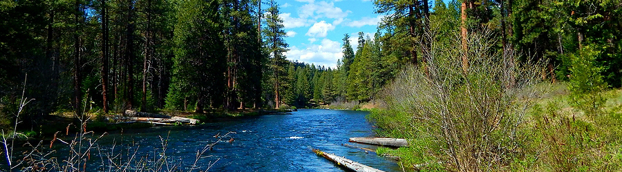 metoliusTMDLc.jpg