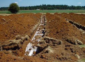septic systems