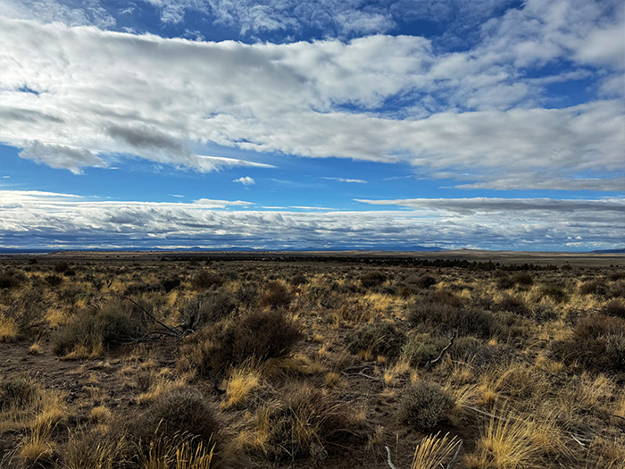 High desert