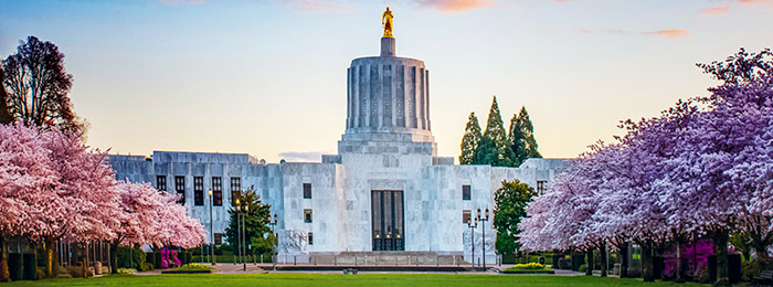 Exterior of Oregon state capitol building and lawn at dusk, including its blooming cherry trees
